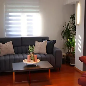 https://apartment-rooftop.in-istria.net